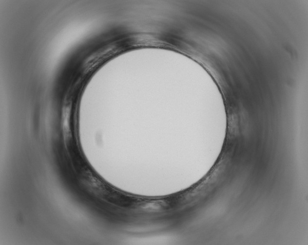 X0000113151150200909181745