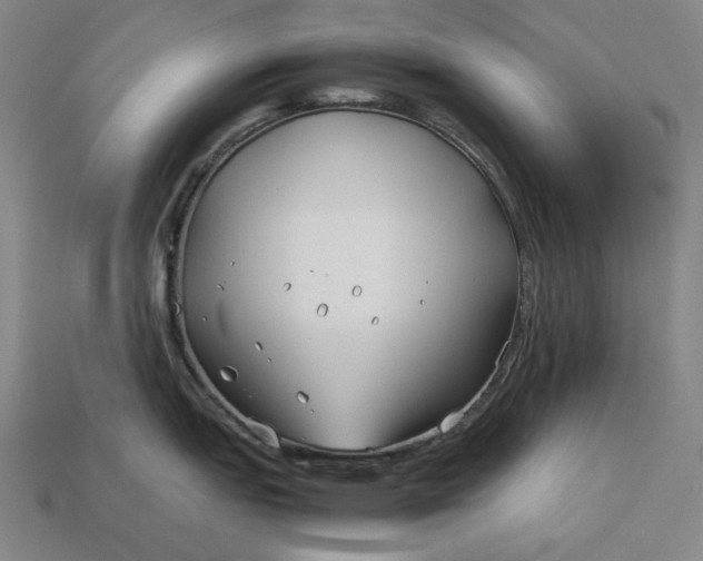 X0000113151151200909181745