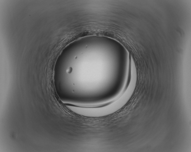 X0000113151153200909181745