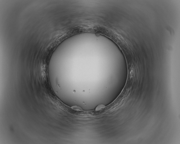 X0000113151156200909181745