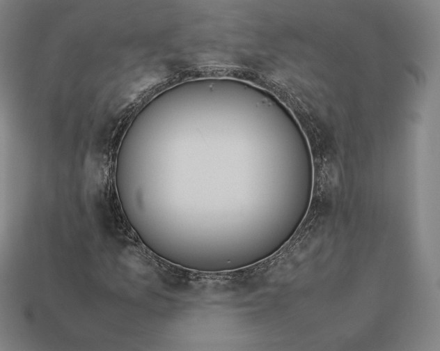 X0000113151157200909181745