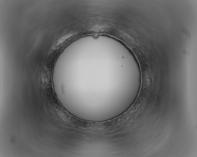 X0000113151158200909181745