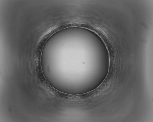 X0000113151159200909181744