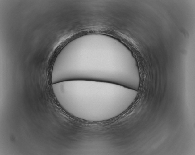 X0000113151160200909181744