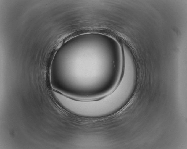 X0000113151161200909181744