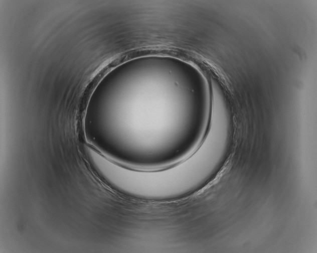 X0000113151162200909181744