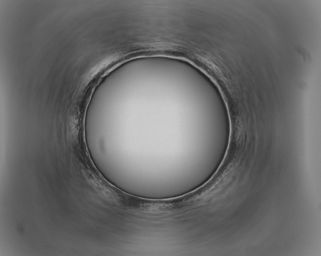 X0000113151163200909181744