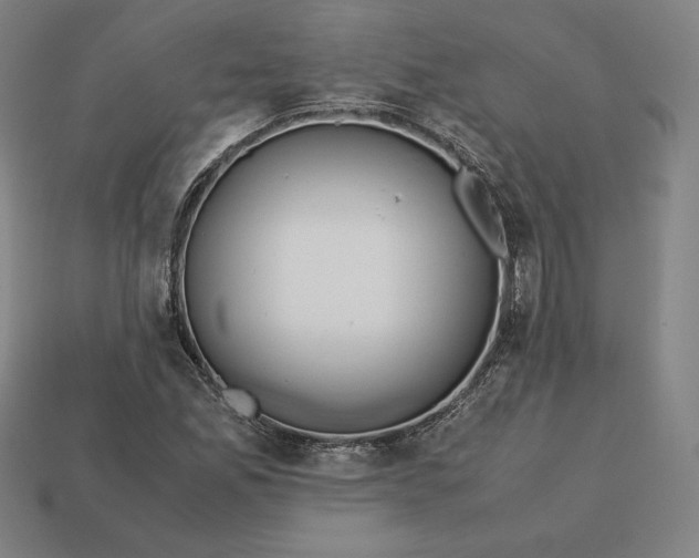 X0000113151165200909181744