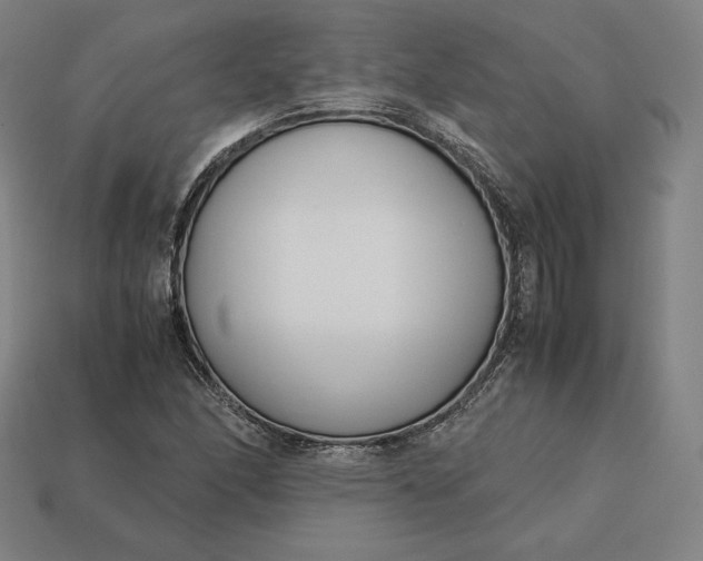 X0000113151166200909181744