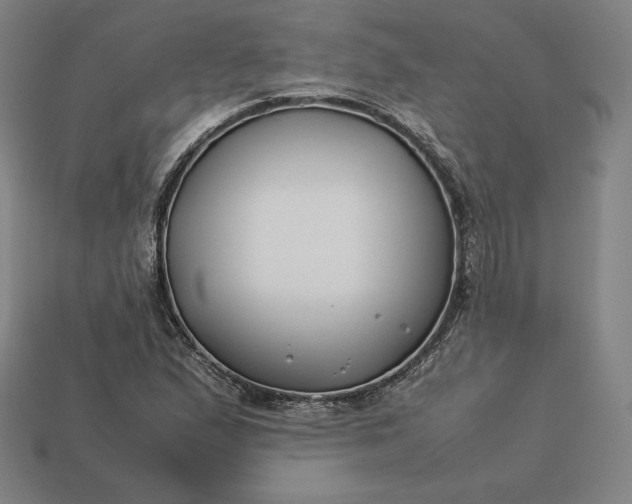 X0000113151167200909181744