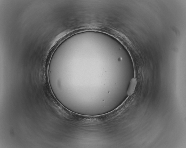 X0000113151168200909181744