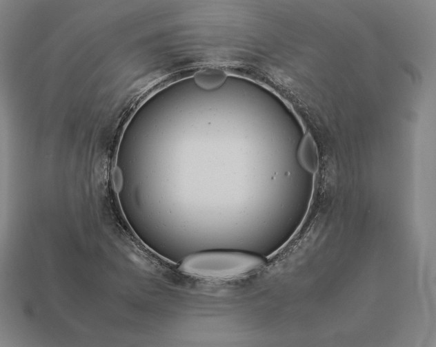 X0000113151169200909181744