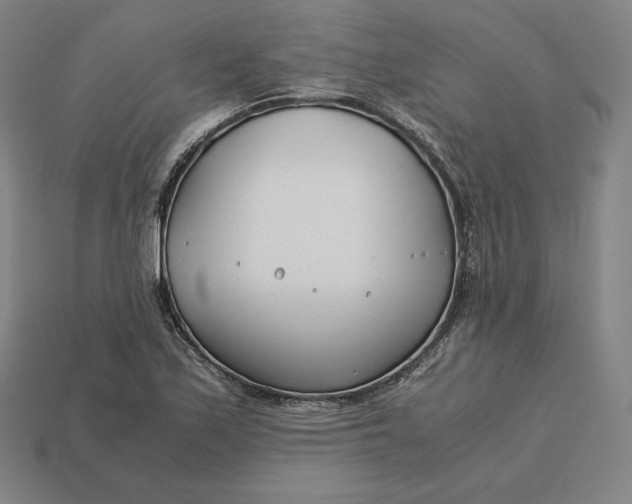 X0000113151171200909181744