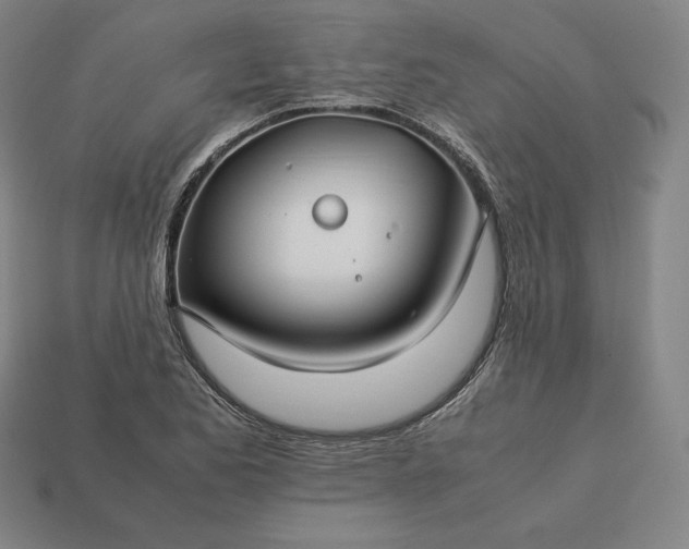 X0000113151173200909181744