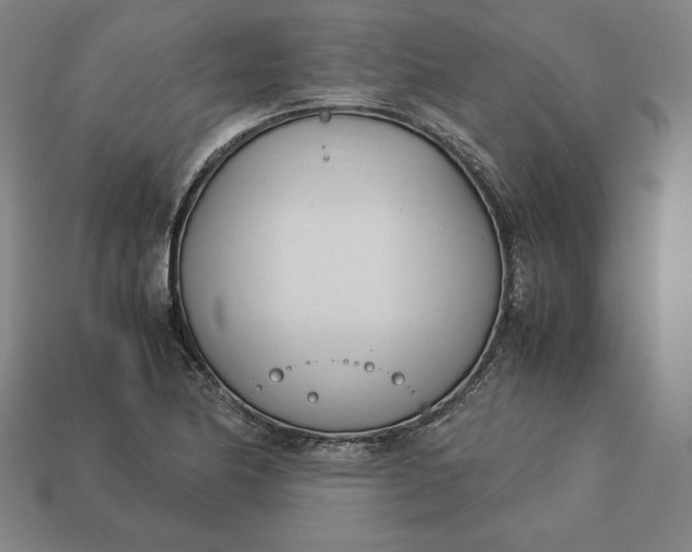 X0000113151174200909181744