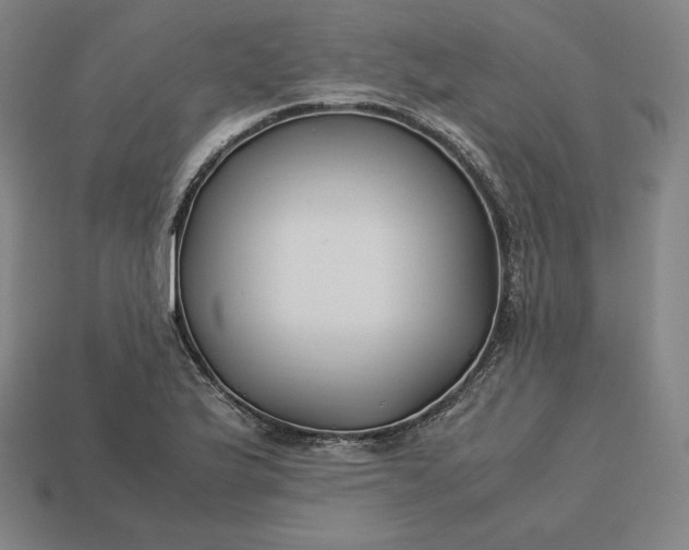 X0000113151175200909181744