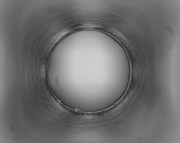 X0000113151177200909181744