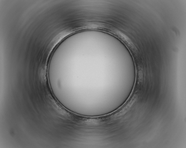 X0000113151178200909181744