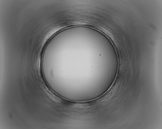 X0000113151179200909181744