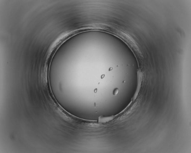 X0000113151180200909181744