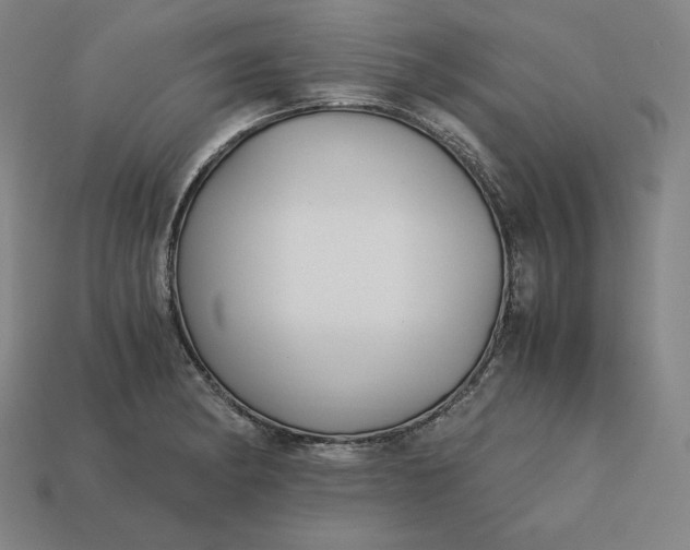 X0000113151182200909181744