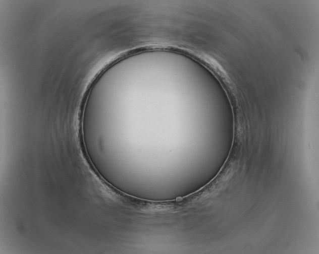 X0000113151183200909181744