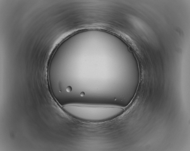 X0000113151184200909181744