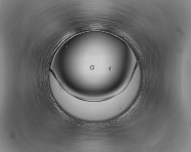 X0000113151185200909181744