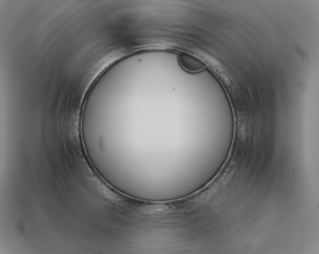 X0000113151186200909181744