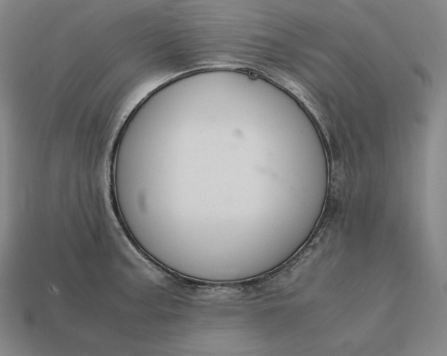 X0000113151187200909181744