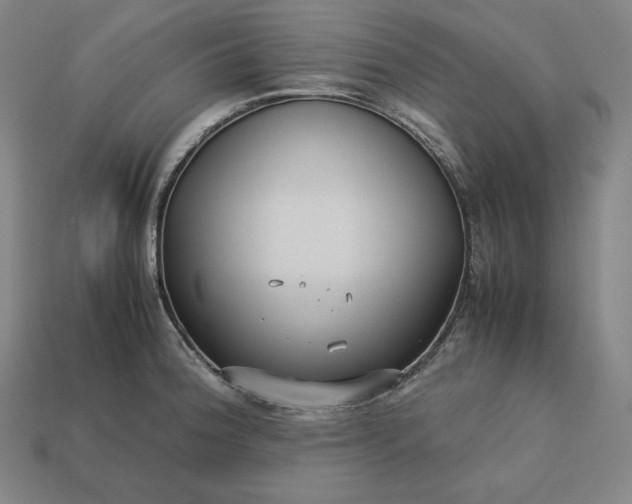 X0000113151188200909181744