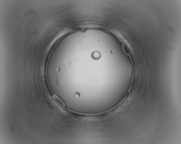 X0000113151189200909181744