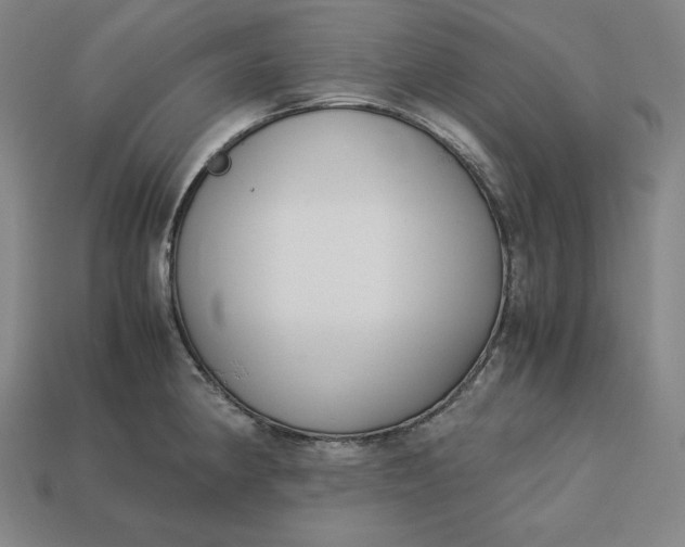 X0000113151190200909181744