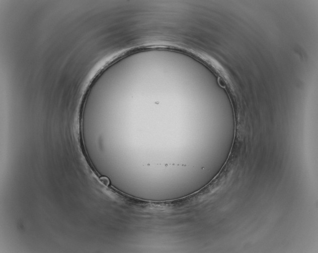 X0000113151191200909181744