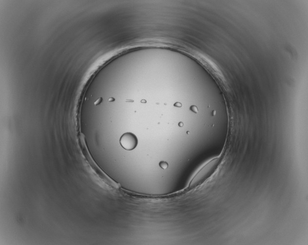 X0000113151192200909181744