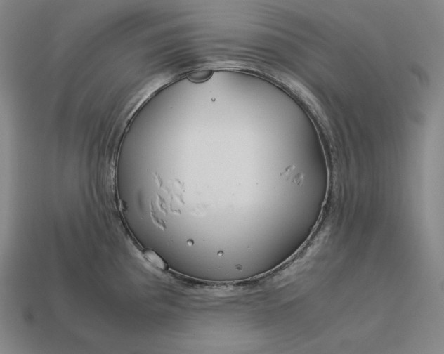 X0000113151193200909181744