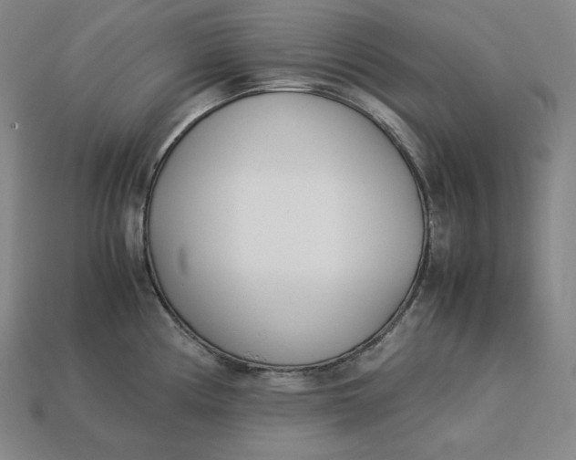 X0000113151194200909181744