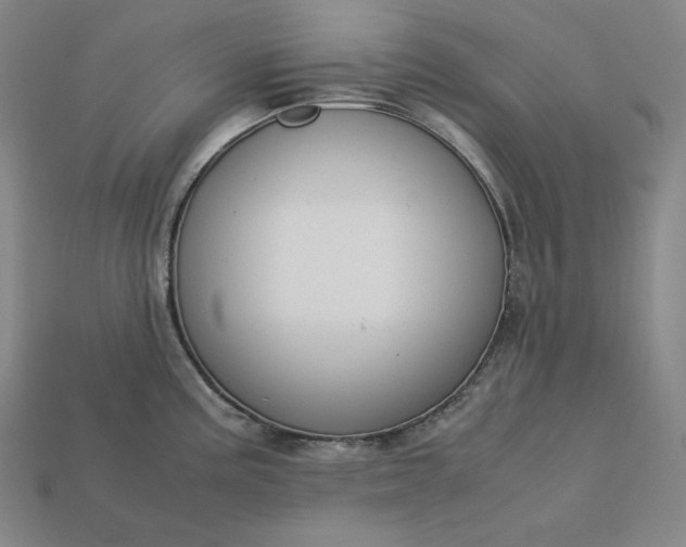 X0000113151195200909181744