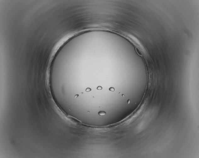 X0000113151196200909181744