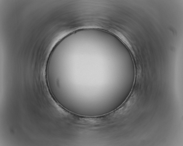 X0000113151197200909181744