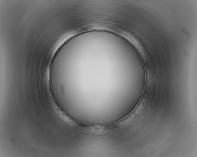 X0000113151198200909181744