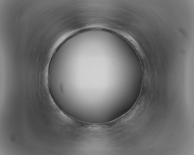 X0000113151199200909181744