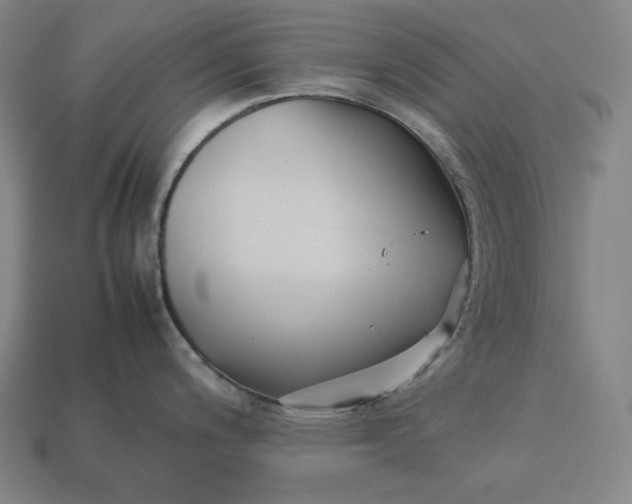 X0000113151200200909181744