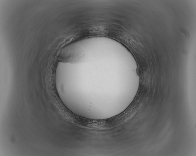 X0000113151201200909181743