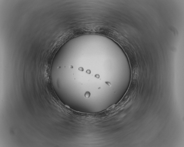 X0000113151202200909181743