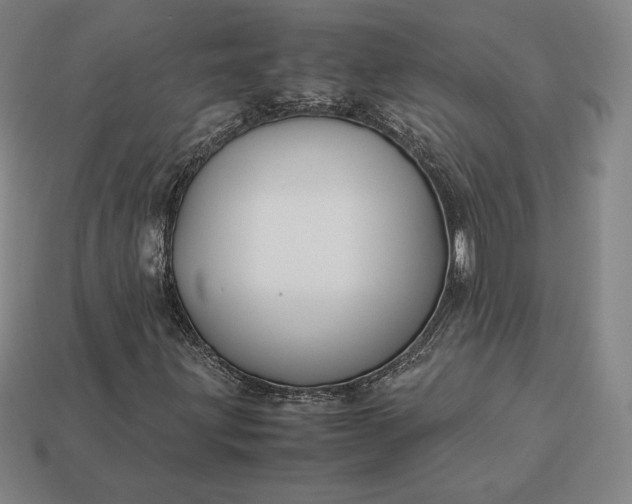 X0000113151203200909181743