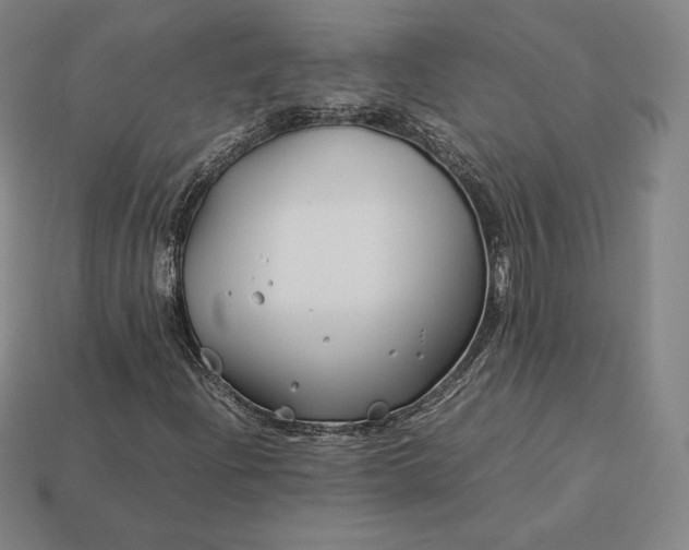 X0000113151204200909181743