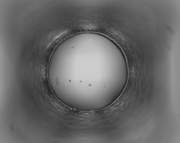 X0000113151205200909181743