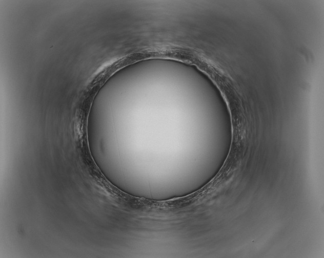 X0000113151206200909181743