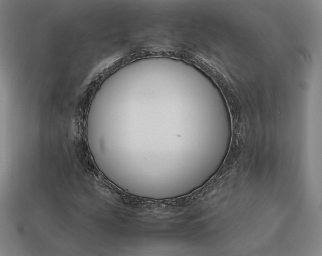 X0000113151207200909181743